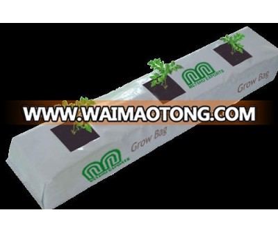 Cocopeat GrowBags