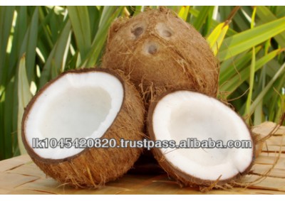 Fresh Coconut